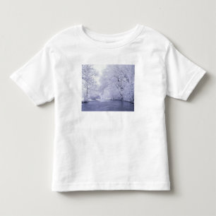 T-shirt EUA, Kentucky, Louisville. Coberta de neve