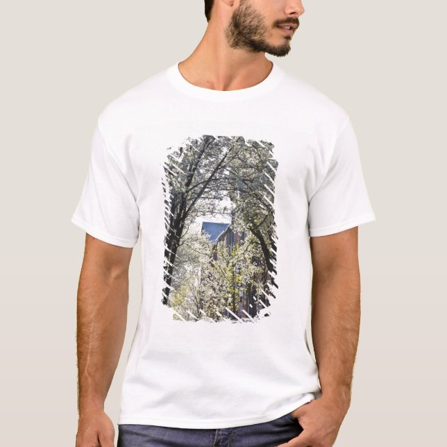 T-shirt EUA, Massachusetts, Boston, Beacon Hill. (Frente)