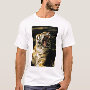 T-shirt EUA, Michigan, Detroit. Zoológico de Detroit, tigr