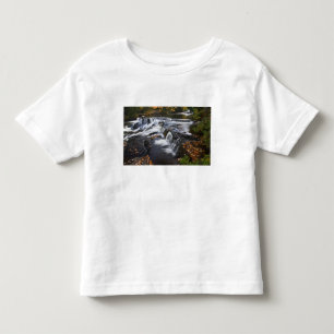 T-shirt EUA, Michigan, Península Superior. Bond Falls e