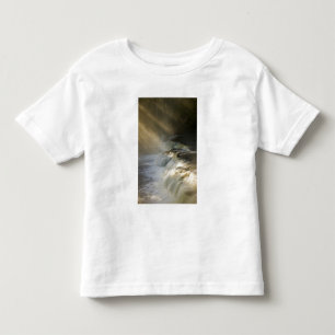 T-shirt EUA, Michigan, Península Superior. Raios de sol em