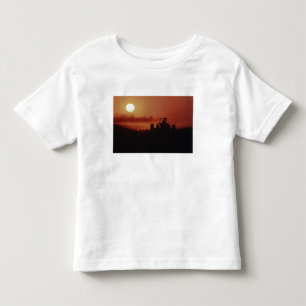 T-shirt EUA, Mississippi, campo de algodão sendo disquado