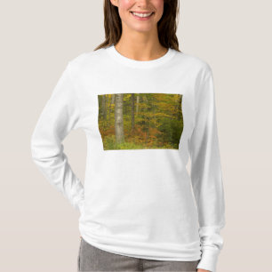 T-shirt EUA, New Hampshire, Livermore, Montanha Branca