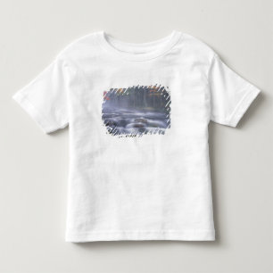T-shirt EUA, Nova York, Adirondacks, Rio Big Moose