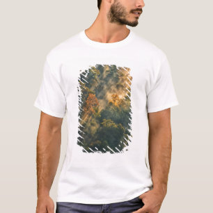 T-shirt EUA, Nova York, Parque Estadual Letchworth. Nascer