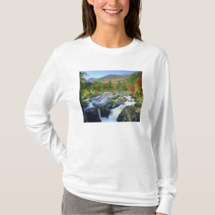 T-shirt EUA, Nova York. Uma cachoeira no Adirondack