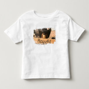 T-shirt EUA, Novo México, Eagles Nest: O Encantado