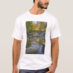 T-shirt EUA, Oregon, Ashland, Lithia Park. Outono