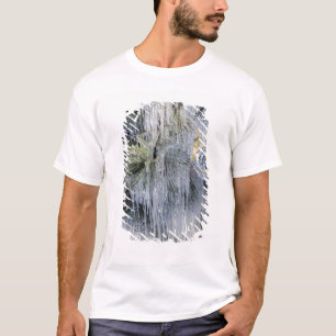 T-shirt EUA, Oregon, Bend. O gelo no pinheiro Ponderosa