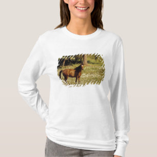 T-shirt EUA, Oregon. Cavalo em campo de margaridas