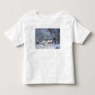 T-shirt EUA, Oregon, Condado de Clackamas. Neve fresca