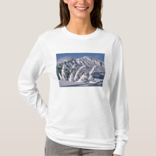 T-shirt EUA, Oregon, Parque Nacional Crater Lake. Árvores