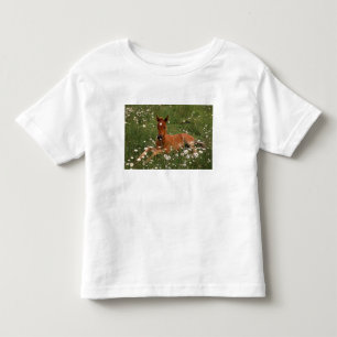 T-shirt EUA, Oregon, Pônei Árabe.