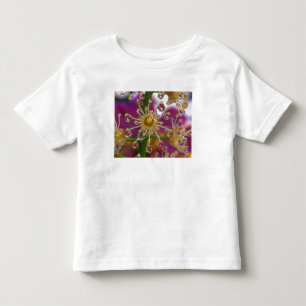 T-shirt EUA, Oregon, Portland. Flores de Cosmos refletem e