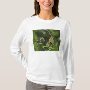 T-shirt EUA, Oregon, Portland. Macho de cambaxirra-america