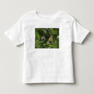 T-shirt EUA, Oregon, Portland. Macho de cambaxirra-cedro