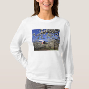 T-shirt EUA, Oregon, Vale do Rio Hood, Pomar de peras