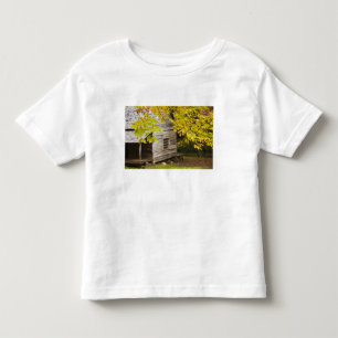 T-shirt EUA, Tennessee, Gatlinburg. Grandes Smoky