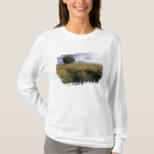 T-shirt EUA, Tennessee, Grandes Montanhas Smokey