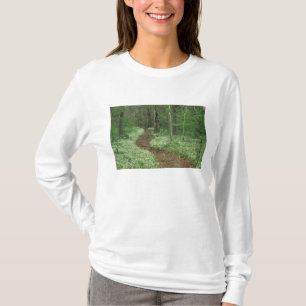 T-shirt EUA, Tennessee, Great Smoky Mountains NP, 3