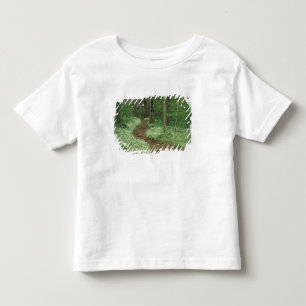 T-shirt EUA, Tennessee, Great Smoky Mountains NP, 3