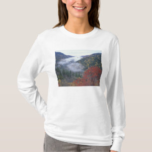 T-shirt EUA, Tennessee, Parque Nacional das Grandes Montan