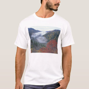 T-shirt EUA, Tennessee, Parque Nacional Grandes Montanhas 