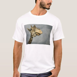 T-shirt EUA, Texas, Fossil Rim Wildlife Area, girafa