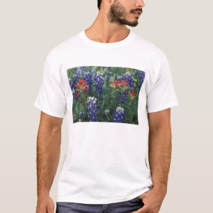 T-shirt EUA, Texas Hill Country. Bluebonnets e
