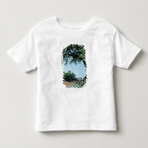 T-shirt EUA, Texas, Texas Hill Country Paintbrush e