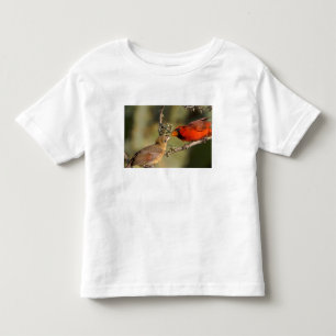 T-shirt EUA, Texas, Vale do Rio Grande, McAllen. Acasalado
