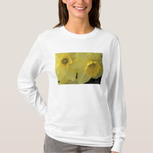 T-shirt EUA, Utah, Daffodils do Vale de Cache