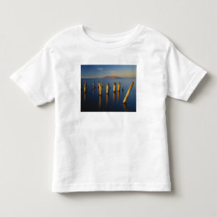 T-shirt EUA, Utah, Grande Bacia, Saltair, Grande Sal