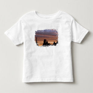 T-shirt EUA, Utah, Parque Nacional Monument Valley. 2