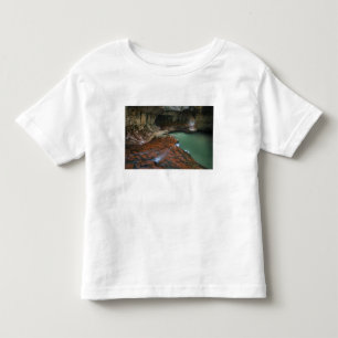 T-shirt EUA, Utah, Parque Nacional Zion. Cênico a partir d