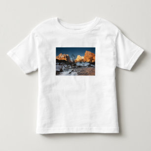 T-shirt EUA, Utah, Parque Nacional Zion. Nascer do sol na