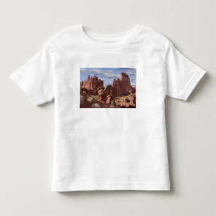 T-shirt EUA, Utah. Vista das Torres Fisher. Crédito: Don