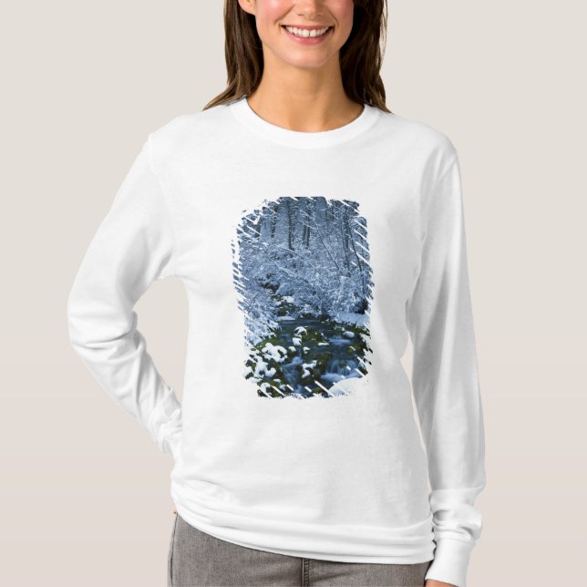 T-shirt EUA, Utah, Wasatch-Catch National Forest, (Frente)