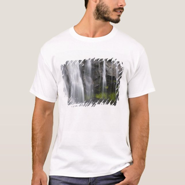 T-shirt EUA, WA, Mt. Rainier NP, Narada Falls (Frente)