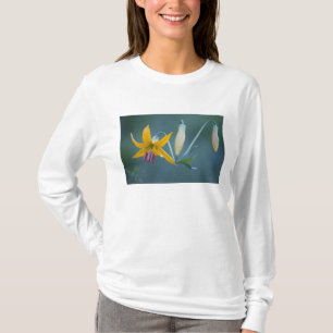 T-shirt EUA, WA, Parque Nacional Mt. Rainier. Columbia