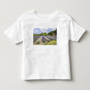 T-shirt EUA, WA, Sequim, Purple Haze Lavender Farm