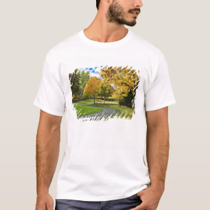 T-shirt EUA, Washington