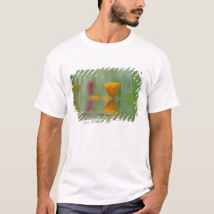 T-shirt EUA, Washington, Close-up abstrato da Califórnia