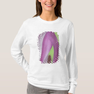 T-shirt EUA, Washington. Close-up da flor de magnólia.
