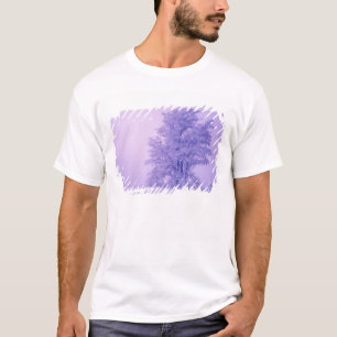 T-shirt EUA, Washington, Condado de Spokane, Congelado