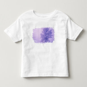 T-shirt EUA, Washington, Condado de Spokane, Congelado