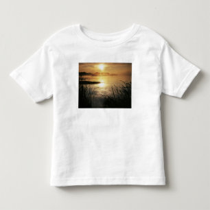 T-shirt EUA, Washington, Lopez Island, Nevoeiro da manhã e