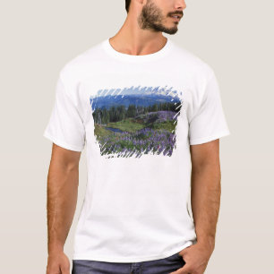 T-shirt EUA, Washington Mt. Adams Wilderness, Prados