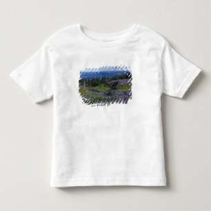 T-shirt EUA, Washington Mt. Adams Wilderness, Prados