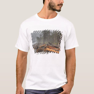T-shirt EUA, Washington, Parque Nacional Olímpico, Rialto